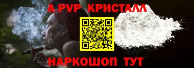 стафф Донской