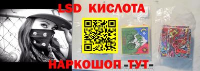 стафф Донской