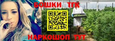 стафф Донской