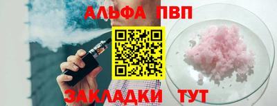 стафф Донской