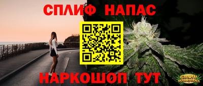 стафф Донской
