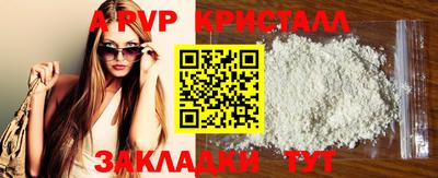 стафф Донской