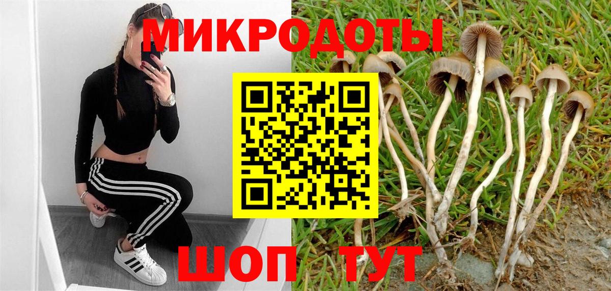 закладка  Галлюциногенные грибы мицелий  Вход с VPN  Мценск 